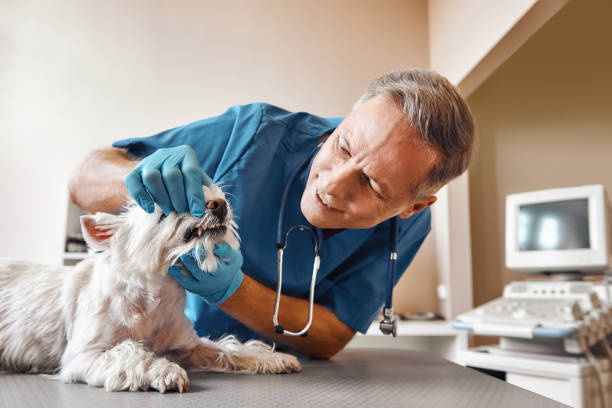Best Emergency Denture Repair in Pinson, AL